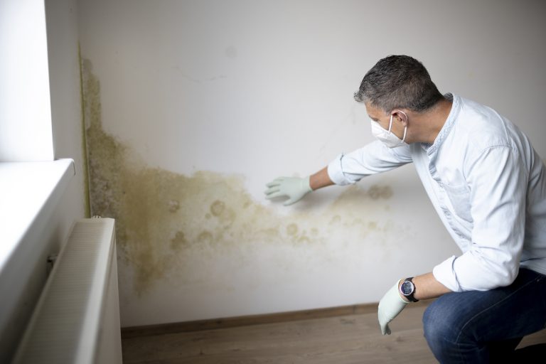 rising damp Chester